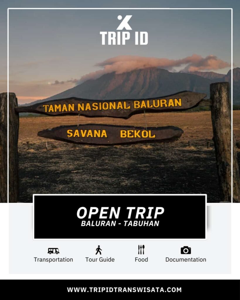 Open Trip – Baluran Tabuhan